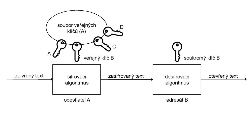 obr2157_p5d8620605d89.jpg