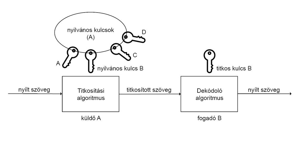 obr2157_pb7b0dd077677.jpg